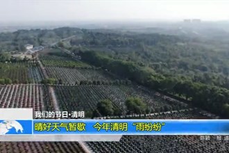 我们的节日-清明(4.4)