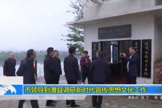 市领导到澧县调研新时代宣传思想文化工作