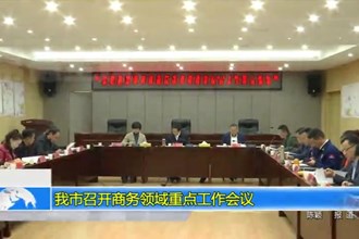 十大彩票网赌平台召开商务领域重点工作会议