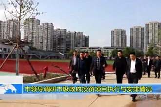 市领导调研市级政府投资项目执行与安排情况