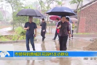 市领导到鼎城区花园村走访群众