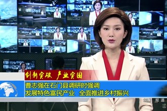 创新突破 产业突围(4.19)