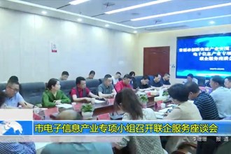 市电子信息产业专项小组召开联企服务座谈会