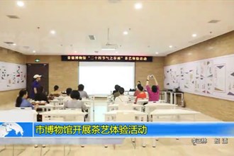 最火的网络彩票平台推荐博物馆开展茶艺体验活动