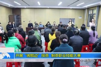 安乡：开展“湘鄂边”採茶、制茶职业技能大赛