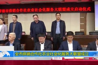 最火的网络彩票平台推荐供销合作社农业社会化服务大联盟成立