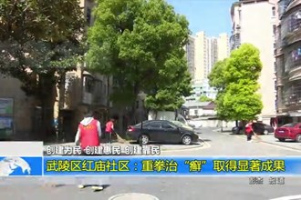 武陵区红庙社区：重拳治“癣”取得显著成果