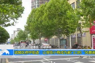 武陵区府坪街道：让背街小巷成为家门口的“风景画”