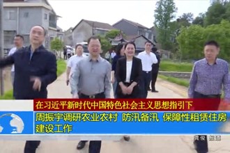 周振宇调研农业农村、防汛备汛、保障性租赁住房建设工作