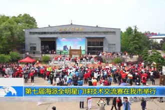 第七届海派全明星门球技术交流赛在我市举行