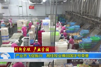 产业齐飞促振兴 湘佳牧业捧回国字号荣誉