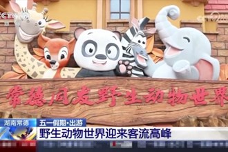 火了！五一假期央视三次聚焦常德