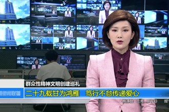 二十九载甘为鸿雁 笃行不怠传递爱心