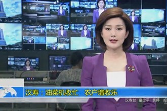 汉寿：油菜机收忙 农户增收乐