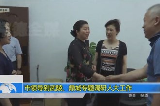 市领导到武陵、鼎城专题调研人大工作