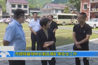 市领导督导林长制及尾矿库安全工作