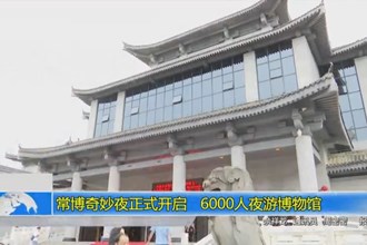 常博奇妙夜正式开启 6000人夜游博物馆