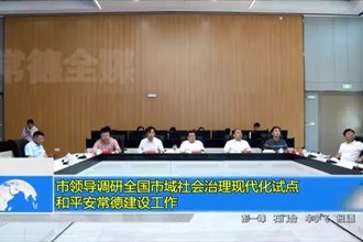 市领导调研全国市域社会治理现代化试点和平安常德建设工作
