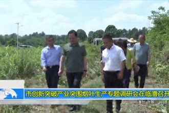 市创新突破产业突围烟叶生产专题调研会在临澧召开