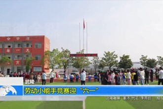 武陵：劳动小能手竞赛迎“六一”