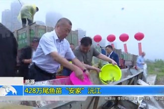 桃源：428万尾鱼苗“安家”沅江