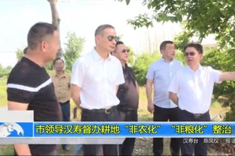 市领导汉寿督办耕地“非农化”“非粮化”整治