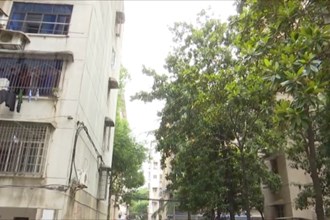 武陵：多方助力拆除违建 齐心共建精致片区