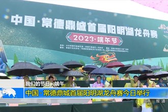 我们的节日•端午(6.22)