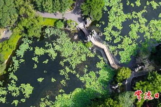 【赏花地图】今夏，“荷”你有约