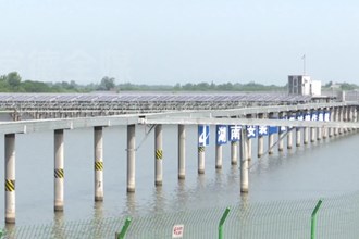 鼎城：光伏电站助力脱贫户“阳光增收”