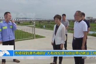 市领导到津市调研扩大有效投资与创业带动就业工作