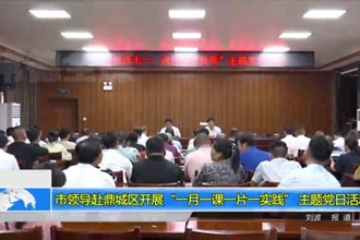 市领导赴鼎城区开展“一月一课一片一实践” 主题党日活动