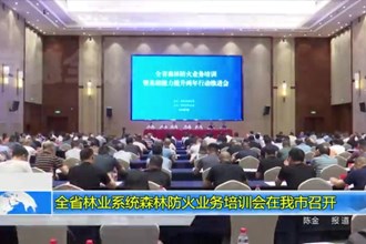 全省林业系统森林防火业务培训会在我市召开