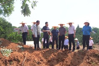 周振宇到汉寿县调研巩固拓展脱贫攻坚成果同乡村振兴有效衔接