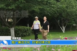 推广廉洁文化 拧紧纪律之弦