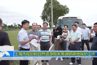 上海市规划和自然资源局来常调研耕地保护工作