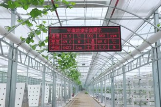 安乡：为现代化农业发展按下“快进键”