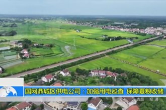 国网鼎城区供电公司：加强用电巡查 保障夏粮收储