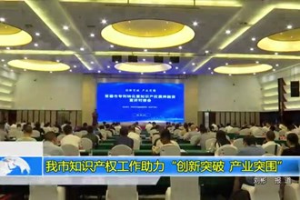 十大彩票网赌平台知识产权工作助力“创新突破 产业突围”