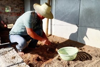 临澧：2000只荷花鳖迎来产蛋孵化季