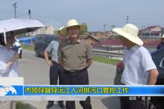 市领导督导沅江入河排污口管控工作