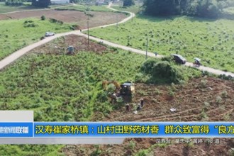 汉寿崔家桥镇：山村田野药材香 群众致富得“良方”