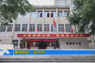 临澧：暑期掀起“读书热”
