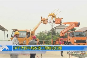 汉寿：10千伏西牛线改造工程建设正酣