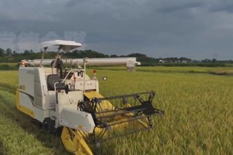 鼎城：农机“无人化” 农民“慧种地”