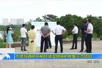 市领导调研环柳叶湖湿地保护修复示范项目
