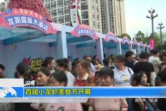汉寿：首届小龙虾美食节开幕