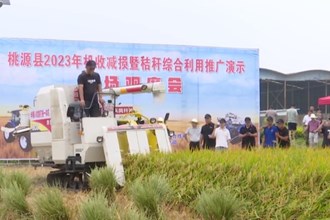 桃源：打好农机“组合拳” 降低损失率 提高利用率