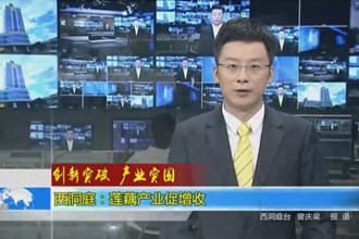 创新突破 产业突围(7.22)