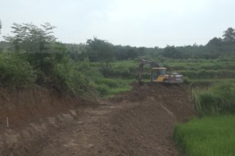 临澧荆岗村：挖渠引水畅 抗旱润农田